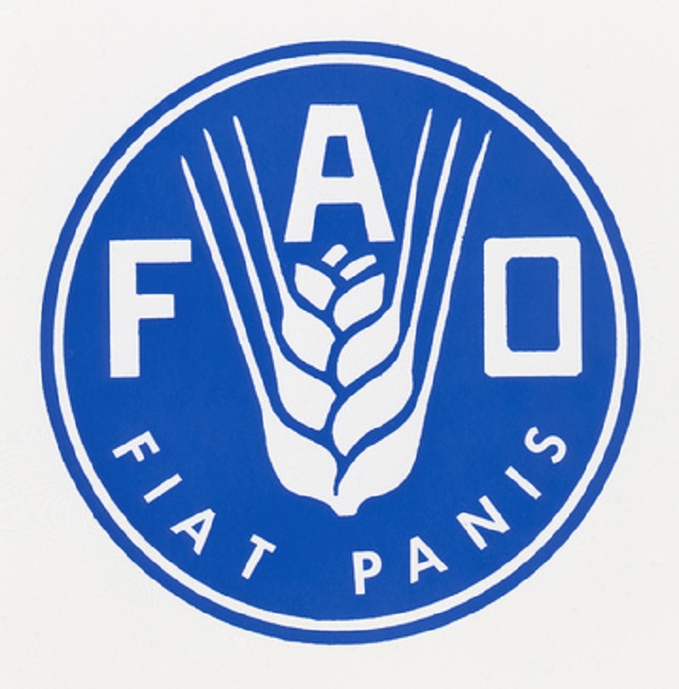 Фао оон. Продовольственная организация ООН ФАО. Продовольственная организация ООН ФАО логотип. Продовольственная и сельскохозяйственная организация (ФАО). 7.Продовольственная и сельскохозяйственная организация ООН (FAO).